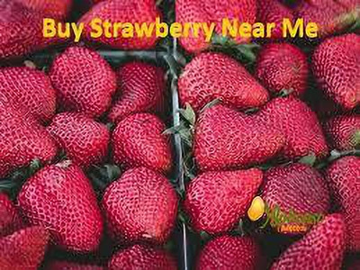XOLDAA BEST QUALITY HYBRID STRAWBERRY Seed(145 per packet)