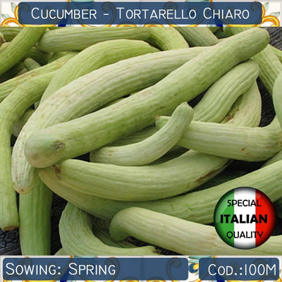 CYBEXIS XLL-18 - Long Melon (Tar) Kakri - (150 Seeds) Seed(150 per packet)