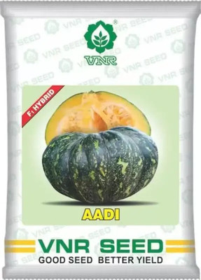 the green dotcom vnr aadi pumpkin seeds Seed (5 g) Seed(50 per packet)