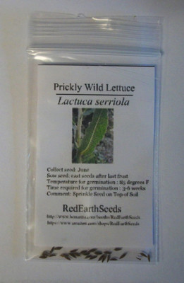 Qualtivate GUA-884 Wild Prickly Lettuce - Lactuca serriola Seed(200 per packet)
