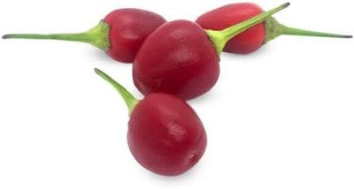 KNESSiN Easy to Grow Filius Blue Pepper Vegetable Seeds for Garden-(300 Seeds) Seed(300 per packet)