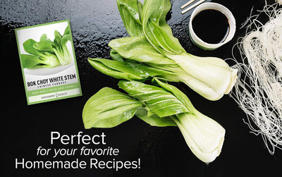 WILLVINE MEH -III Bok Choy Chinese Cabbage Seeds [25g] Seed(7500 per packet)