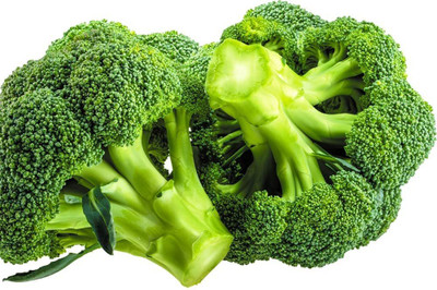 CYBEXIS XL-97 - Green Broccoli - (1350 Seeds) Seed(1350 per packet)