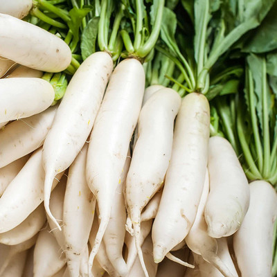 KANAYA Radish Mooli Vegetable(Mooli Ke Beej) Seed(800 per packet)