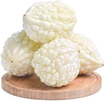 CYBEXIS KGF -3 - White Pearl Bitter Melon Bitter Gourd - (100 Seeds) Seed(100 per packet)