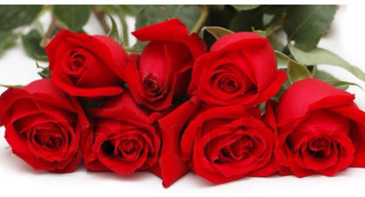 greenfarm NXC- Fragrant Rose Flower Seeds/ Gulab Seeds, 70 X Seeds , RFG15 Seed(70 per packet)