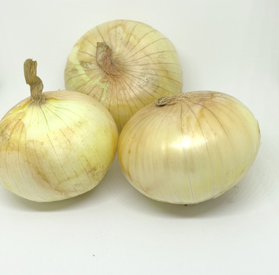 Avysa Golden Organic Onion Seed(500 per packet)