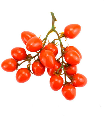 XOLDA Organic Cherry tomato Seed(40 per packet)