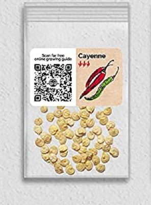 WILLVINE Non-GMO F1 HybridCayenne Chilli Pepper-5000 Seeds Seed(5000 per packet)