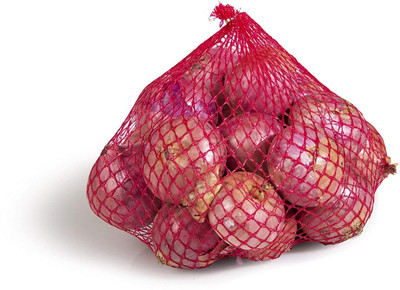 WILLVINE F1 Hybrid Onion Pioneer Seeds-[5000 Seeds] Seed(5000 per packet)