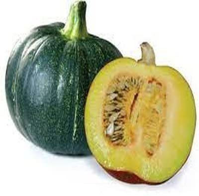 VibeX LX-98 - Pumpkin F1 Hybrid Summer - (100 Seeds) Seed(100 per packet)
