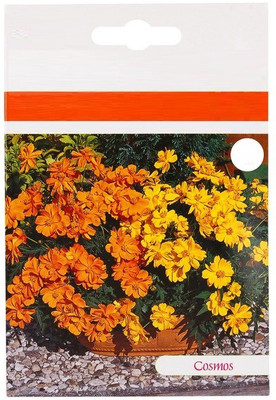 CYBEXIS VXI-53 - Hybrid Cosmos Flower - (90 Seeds) Seed(90 per packet)