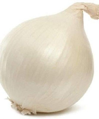 Aywal White Onion Seeds- Hungarian Seed(25 per packet)