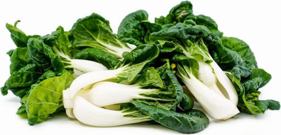 WILLVINE PUAS -XVI Dwarf Pak Choi Chinese Cabbage [2.5g] Seed(750 per packet)