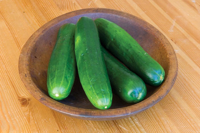 Qualtivate PUA-6A Beauty Slicing Cucumber Seeds Seed(300 per packet)