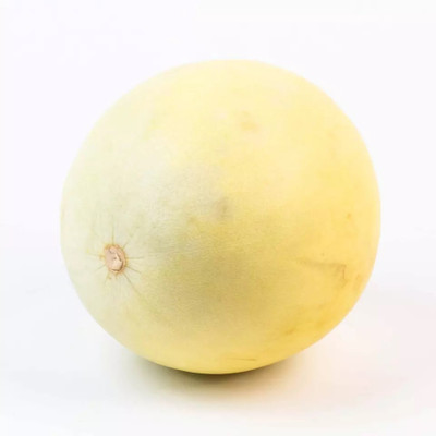 PLUSGREEN Muskmelon sweet honeydew fruit Seed(60 per packet)