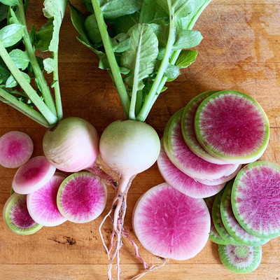 Qualtivate VXL-3AT Watermelon Radish Seeds Seed(300 per packet)