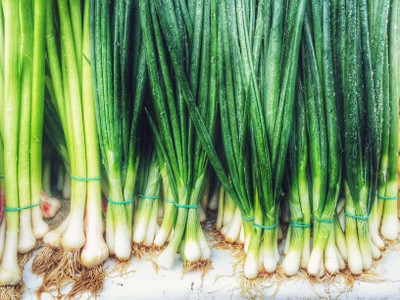 the green dotcom Bunching Onion Seed(278 per packet)
