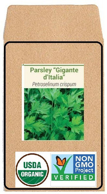 CYBEXIS Hybrid Seeds-Italian Parsley2800 Seeds Seed(2800 per packet)