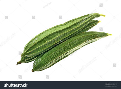 Paudhaa FI QUALITY RIDGE GOURD Seed(16 per packet)