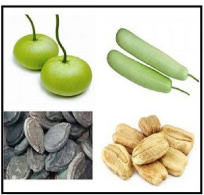 VibeX LX-81 - Round Gourd and Bottle Gourd - (900 Seeds) Seed(900 per packet)