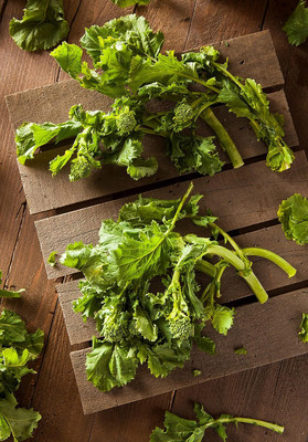 WILLVINE VNR -XIII “Spring Rapini” Broccoli Raab Seeds [2.5g] Seed(750 per packet)