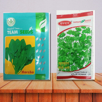KRASHAK GREEN CORIANDER SEED, GREEN SPINACH SEED Seed(2 per packet)
