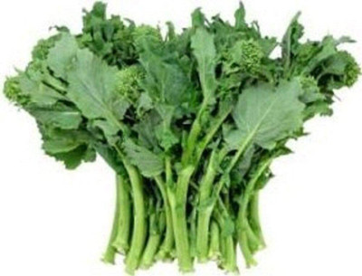 VibeX ® XXL-486 Broccoli RAAB Early Fall RAPINI Seed(200 per packet)