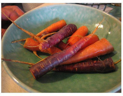CYBEXIS Egmont Gold Imported Carrot Variety1000 Seeds Seed(1000 per packet)