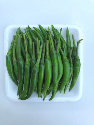 Farmonix Green Chilli Premium Grade Seed(800 per packet)