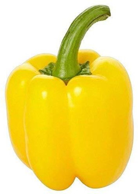 KNESSiN Capsicum Yellow Seed(50 per packet)