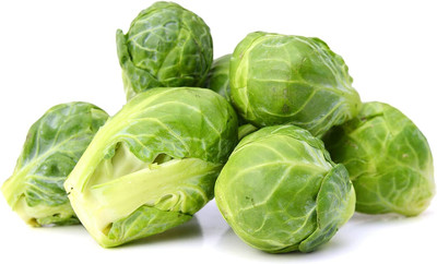 WILLVINE SCI -XII Catskill Brussel Sprout Seeds [50g] Seed(15000 per packet)