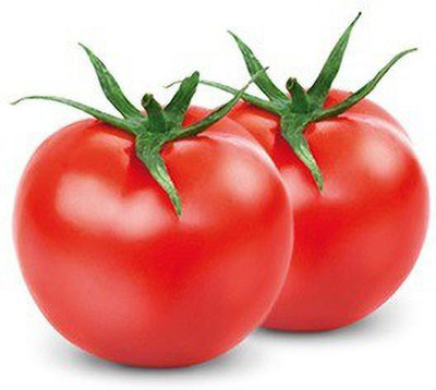 Quentova Tomato-DLX-4L Seed(250 per packet)