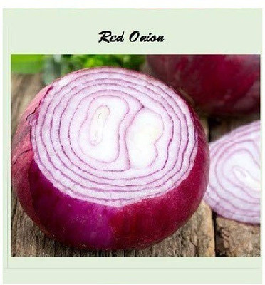 CYBEXIS Red Onion-500 Seeds Seed(500 per packet)