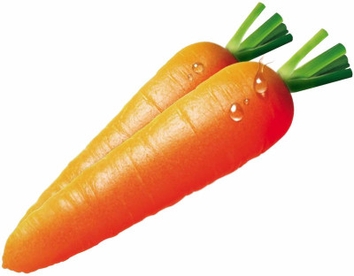 Quentova Carrot - Orange Vegetable-7K-SNIG Seed(200 per packet)