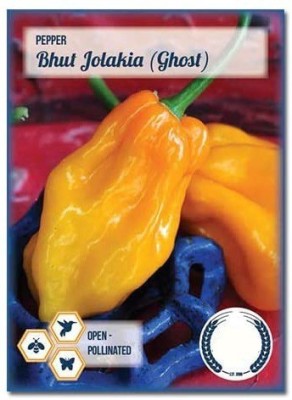 CYBEXIS Infamous Ghost Pepper-Bhut Jolakia600 Seeds Seed(600 per packet)