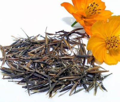 Greenfall Mixed Colour Cosmos Flower Seeds - Hybrid - Pack of 34 Seeds Seed(30 per packet)