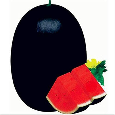 WILLVINE LX-336 Watermelon Fruit Seeds Seed(100 per packet)