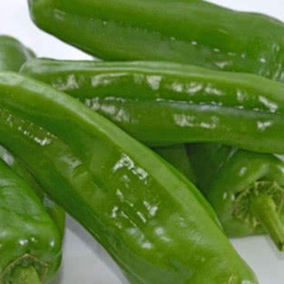 KNESSiN Jalapeno Pepper Seed(200 per packet)