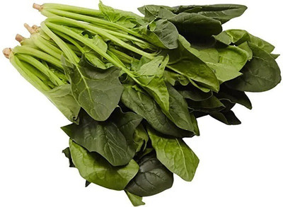 Avysa Organic Palak Spinach Seed(1000 per packet)