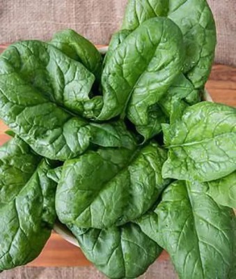 MAA Malabar Spinach, Malabar Seed(170 per packet)