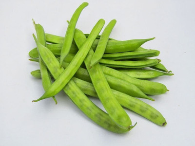 SUAA Cluster Beans (Guar / Gawar) Seed(70 per packet)