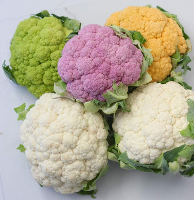 Qualtivate GBPT-7A Cauliflower Cabbage Mix Seeds Seed(300 per packet)