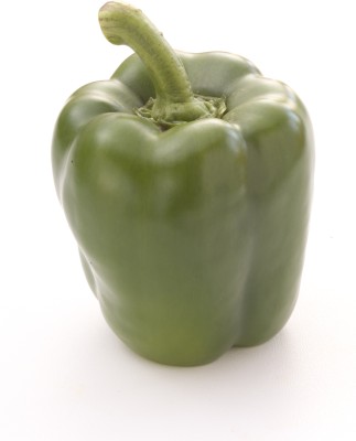 VASUDHA Green pepper Capsicum Seed(1000 per packet)