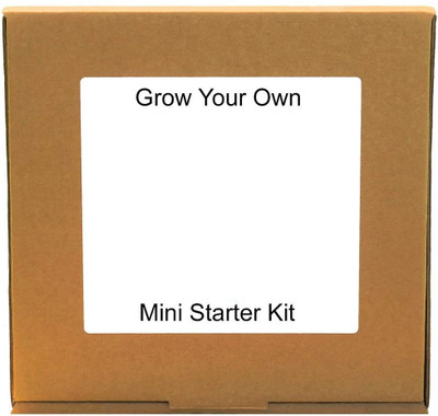 CRGO SEEDS KIT Seed(34 per packet)