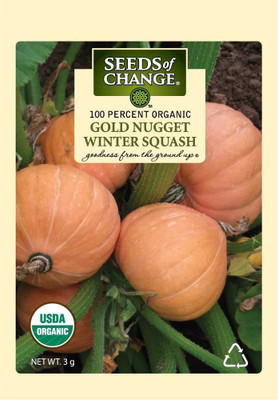 CYBEXIS NBIR-59 - Organic Gold Nugget Squash - (75 Seeds) Seed(75 per packet)