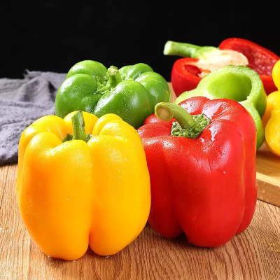 Quentova Capsicum Mixed Bell Pepper Seed(100 per packet)