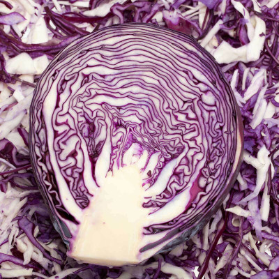 MYLAWN Mammoth Red Rock Cabbage Seed(500 per packet)
