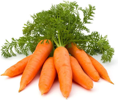 VibeX ® XLR-171 Carrot Seeds for Planting Seed(500 per packet)