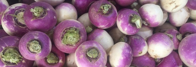 MYLAWN White Purple Ball Turnip/Shalgam Seed(800 per packet)